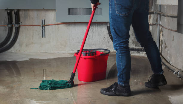 Best Emergency water damage restoration  in Altamont, NY