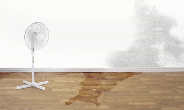 Best Fire Damage Restoration  in Altamont, NY