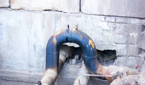 Best Professional water damage repair  in Altamont, NY