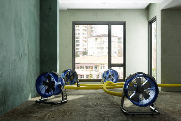 Best Water damage restoration experts  in Altamont, NY